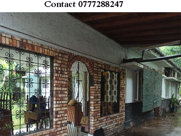 A Prime Ancestral Land (11P) with a House even suitable for commercial purpose walking distance to Nugegoda fly over. – photo 1