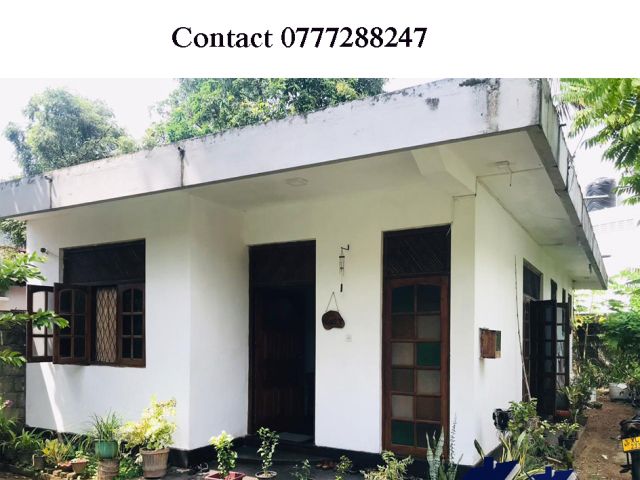 Single Story House for Sale in Egodawatta Road Boralesgamuwa. – photo 1