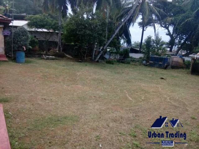 Beautiful Habour View Land with old House for sale in Mirissa. – photo 2