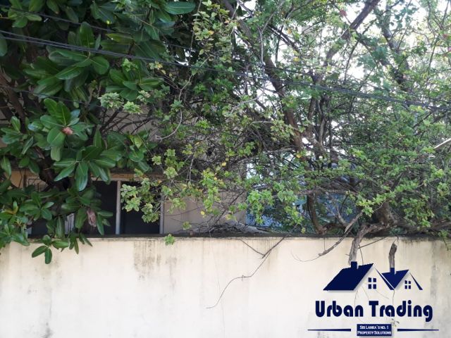 08 Perches Prime Land for Sale with Old House in Templers Road Mount Lavinia. – photo 2
