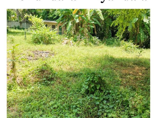 19 Perches Bare Land for Sale in Bokundara Piliyandala. – photo 1