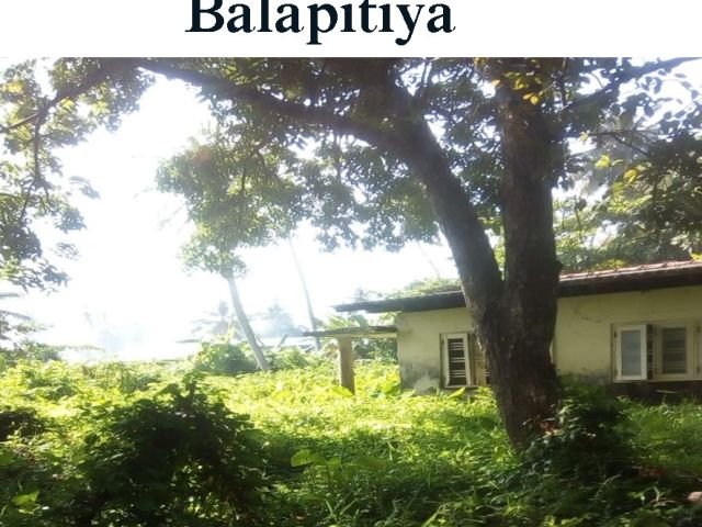 46 Perches Beautiful River View Land (with Old House) is Situated Facing ” MADU RIVER” in Balapitiya for Sale. – photo 1