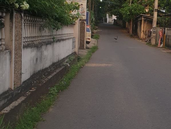 Two Story House For Sale at Nugegoda – photo 2