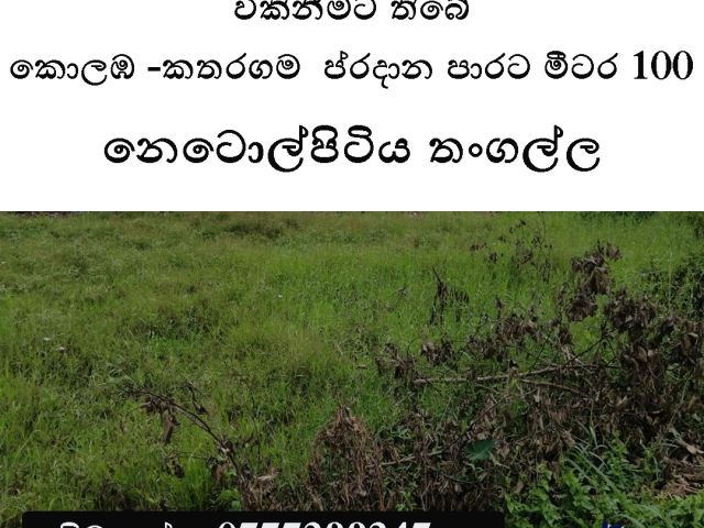 නෙටොල්පිටිය-තංගල්ලෙ අක්කර 6.5ක අගනා ඉඩමක් විකිනීමට තිබේ.