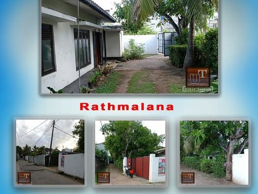 17 Perch Land with Single Story Old House For Sale in Rathmalana.