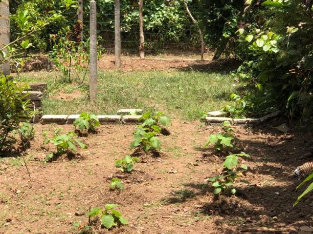 08 Perches Bare Land to be Sold in Kuruppumulla Panadura,