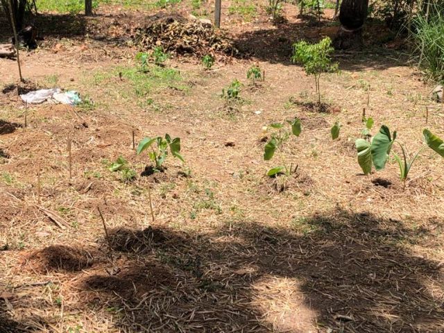 08 Perches Bare Land to be Sold in Kuruppumulla Panadura, – photo 2