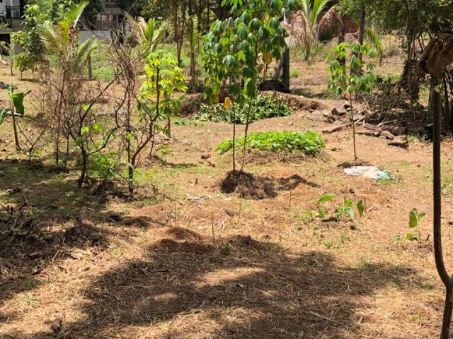 08 Perches Bare Land to be Sold in Kuruppumulla Panadura, – photo 3