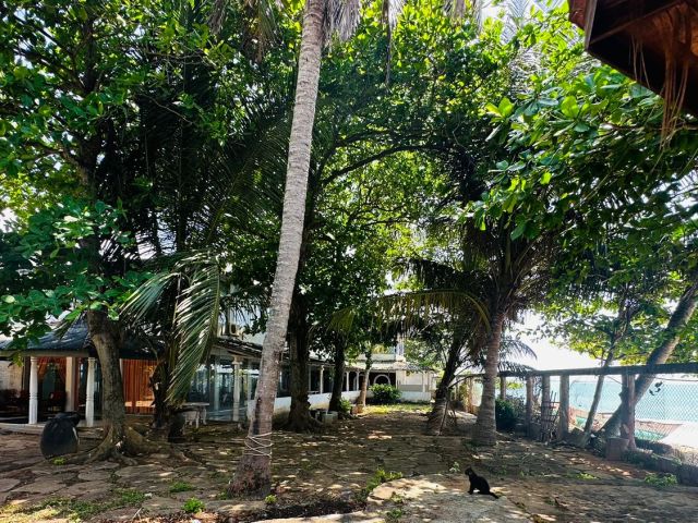 Two Story Beach Facing Hotel to be sold in Medaketiya Tangalle. – photo 7