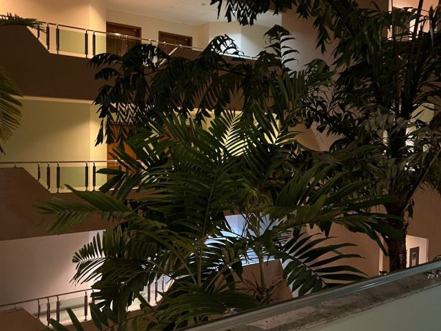 Two Bed Fully Furnished Apartment to be Rented in Barnes Place Residencies Colombo 07.