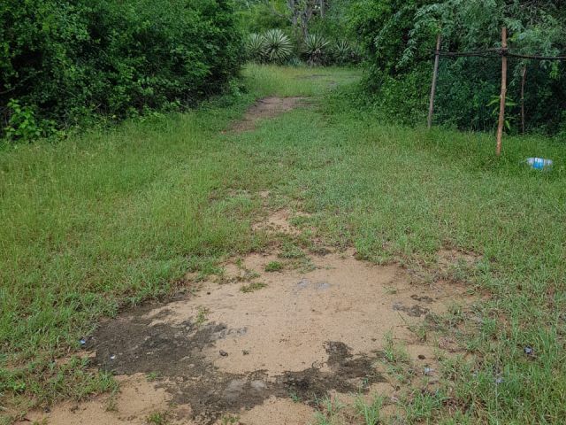 LAND WITH WILDLIFE HOLIDAY BUNGALOW IN HAMBANTOTA – photo 6