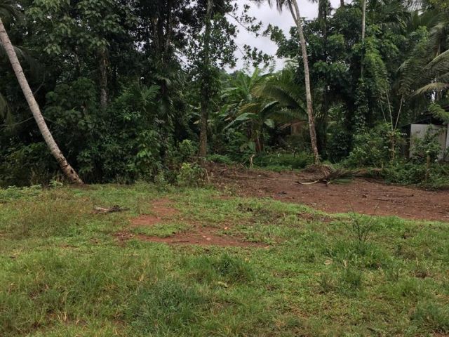 26.40 Perches Land for Sale in Panadura – photo 4