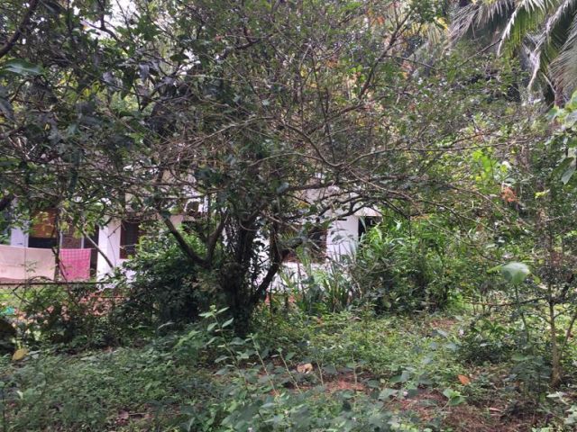 26.40 Perches Land for Sale in Panadura – photo 5
