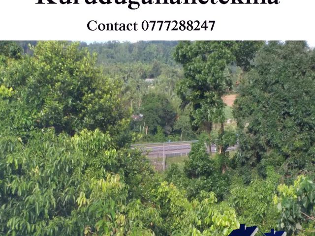 6 Acre Cinnamon Land For Sale in Kurudugahatekma. – photo 1