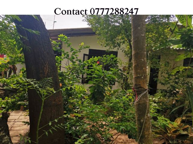 14.5 Perches Prime Land with 02 Old House for Sale in Kalubowila Dehiwala. – photo 1